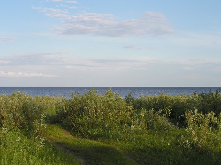 Ильмень